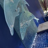 Water Features 5